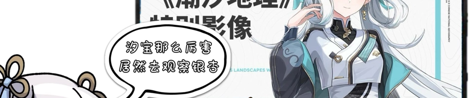 关于开云