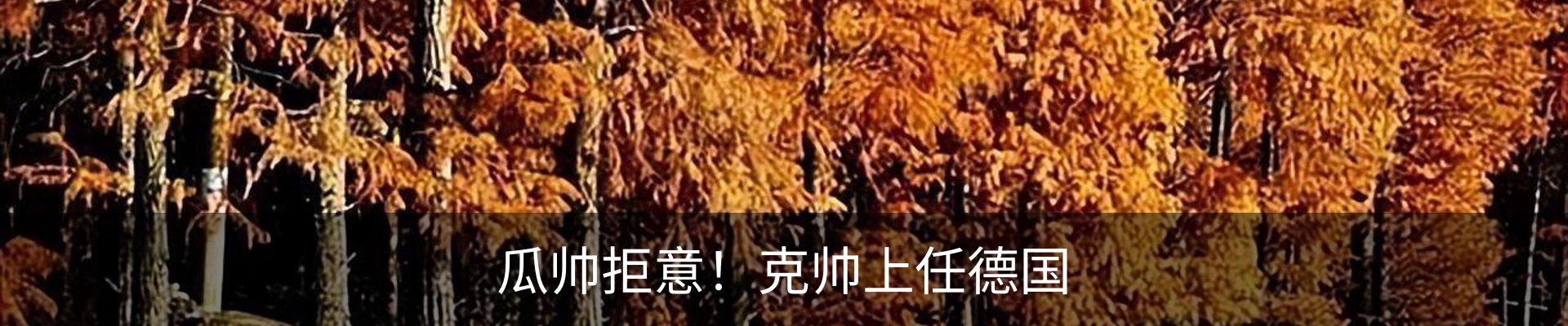 行业资讯
